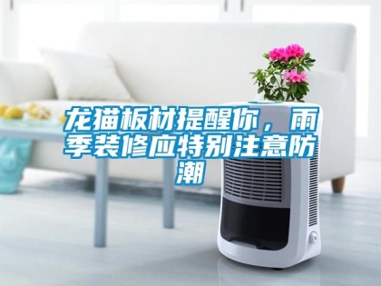 龍貓板材提醒你，雨季裝修應特別注意防潮